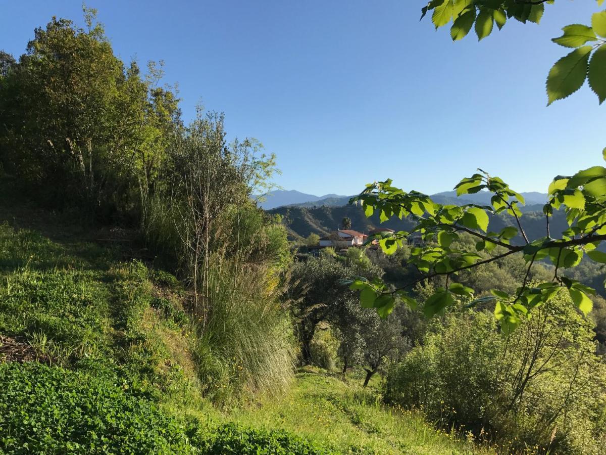 Bed and Breakfast Benvenuti Nel Sud Sessa Cilento Exterior foto